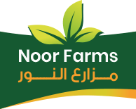 مزارع النور - Noor Farms